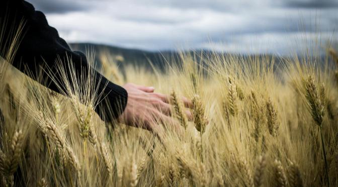 WHAT WAS PENTECOST? — BOB PRICHARD